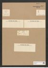 Encyonema gracile Rabenh. (de-Toni-Nr.: Genus 34, Species 1493) Zeichnungen Sammlung Grunow Nr. 2892 (NHMW-BOT-W0370224)
